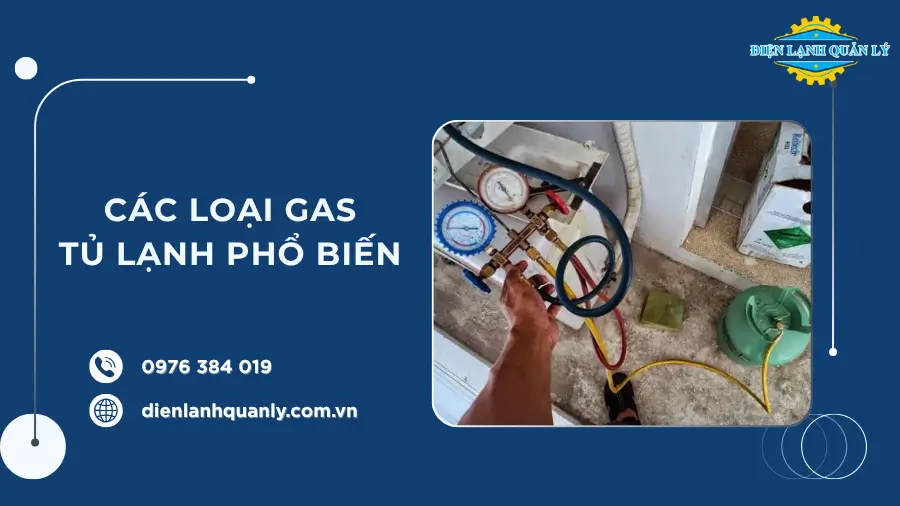 Tìm hiểu các loại gas tủ lạnh phổ biến trước khi quyết định thay thế