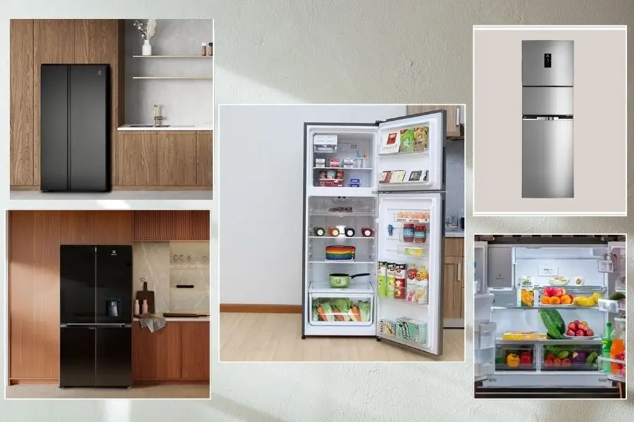 Các dòng tủ lạnh Electrolux