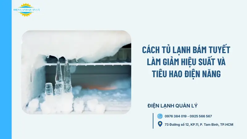 Cách tủ lạnh bám tuyết làm giảm hiệu suất và tiêu hao điện năng
