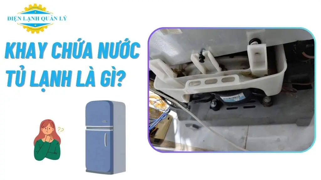 Khay chứa nước tủ lạnh là gì?