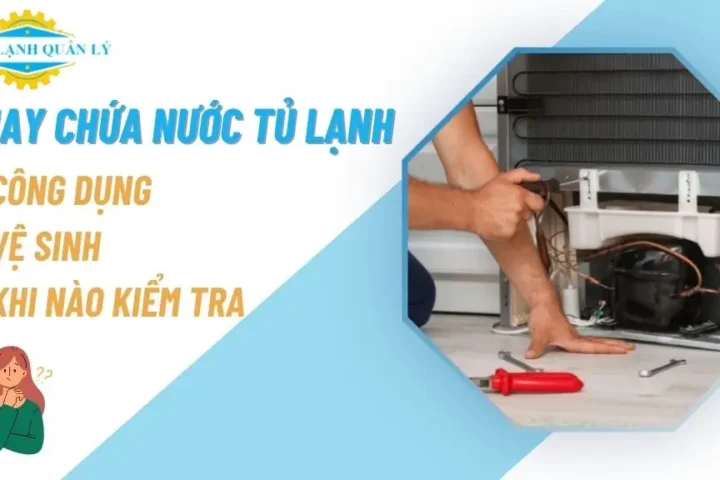 Khay Chứa Nước Tủ Lạnh: Công Dụng, Vệ Sinh, Khi Nào Kiểm Tra