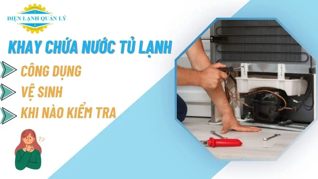 Khay Chứa Nước Tủ Lạnh: Công Dụng, Vệ Sinh, Khi Nào Kiểm Tra
