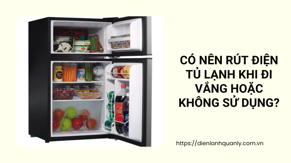 Có nên rút điện tủ lạnh khi đi vắng hoặc không sử dụng?