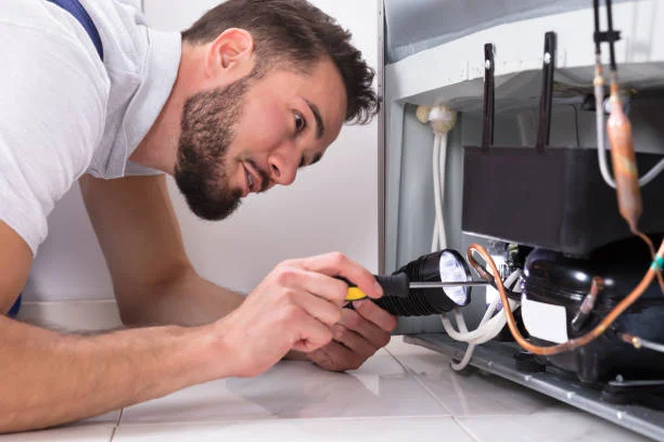 Timer tủ lạnh là gì? 4 bước kiểm tra Timer tủ lạnh đơn giản, nhanh chóng