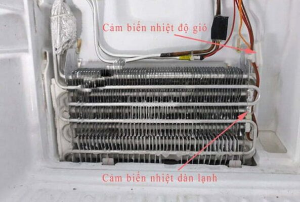 Sensor ngăn đông của tủ lạnh | Điện Lạnh Quản Lý