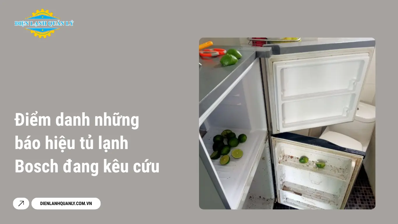 Điểm danh những báo hiệu tủ lạnh Bosch đang kêu cứu