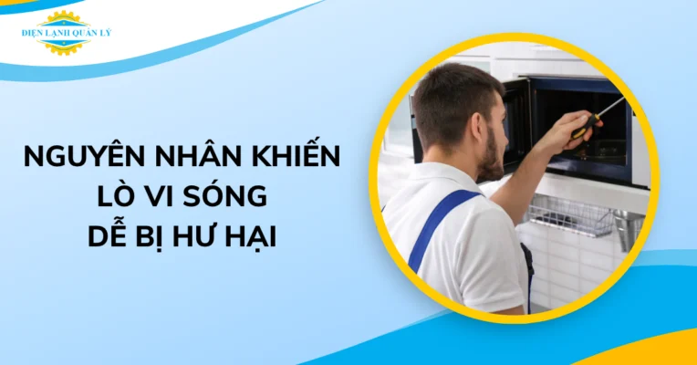 Lò vi sóng dễ bị hư hỏng nếu không sử dụng đúng cách