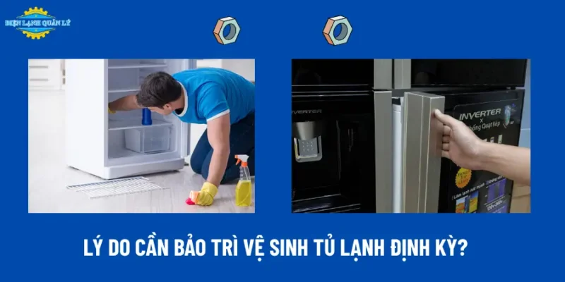 Lý do cần bảo trì vệ sinh tủ lạnh định kỳ?