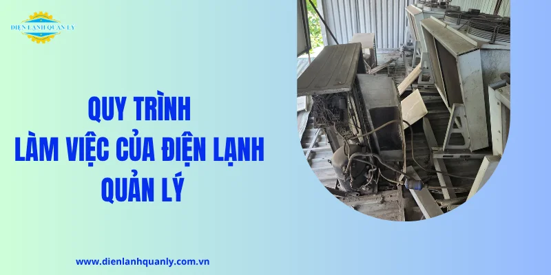 Quy trình làm việc của Điện Lạnh Quản Lý
