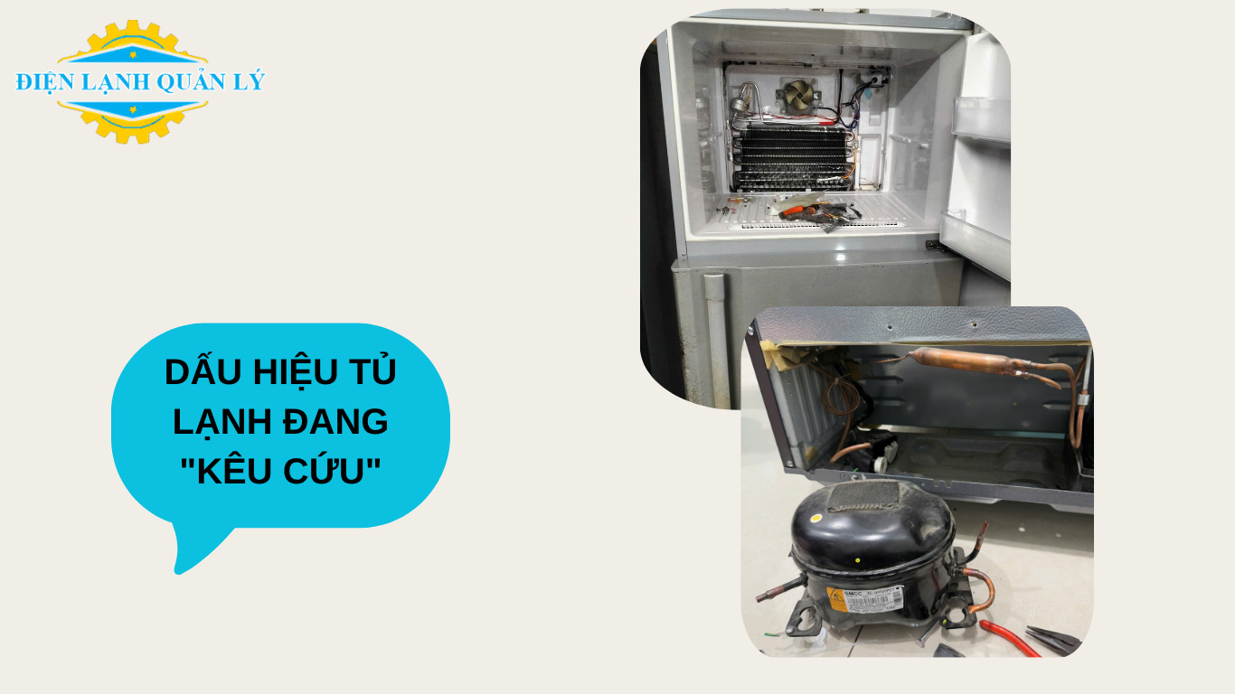 Dấu hiệu tủ lạnh đang "kêu cứu" - gọi ngay Điện Lạnh Quản Lý