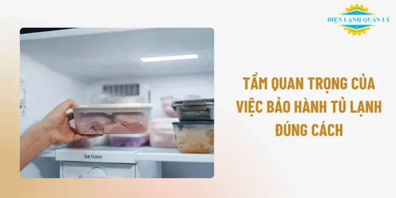 Tầm quan trọng của việc bảo hành tủ lạnh đúng cách