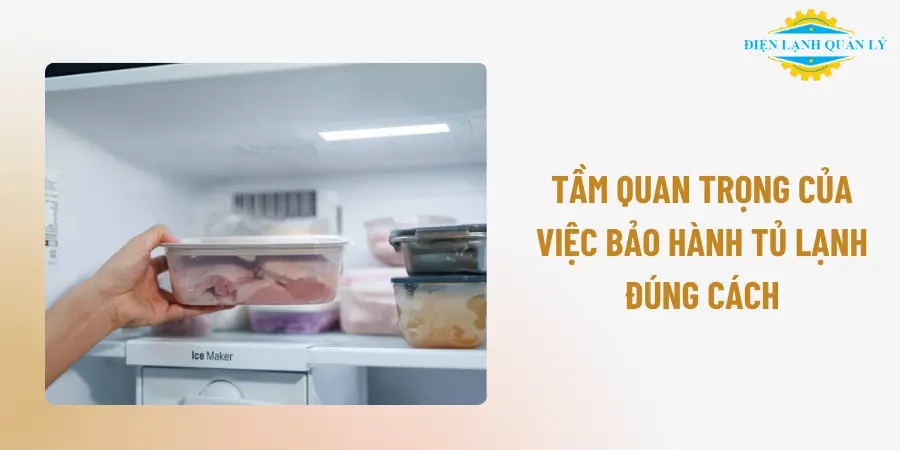 Tầm quan trọng của việc bảo hành tủ lạnh đúng cách