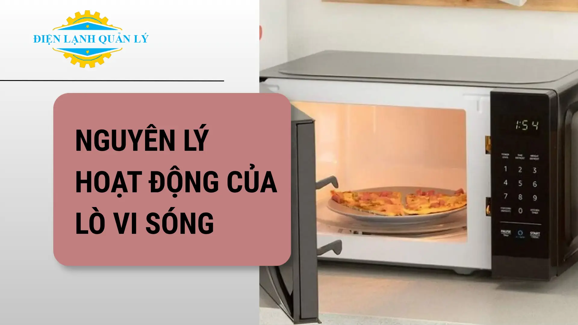 Nguyên lý hoạt động của lò vi sóng