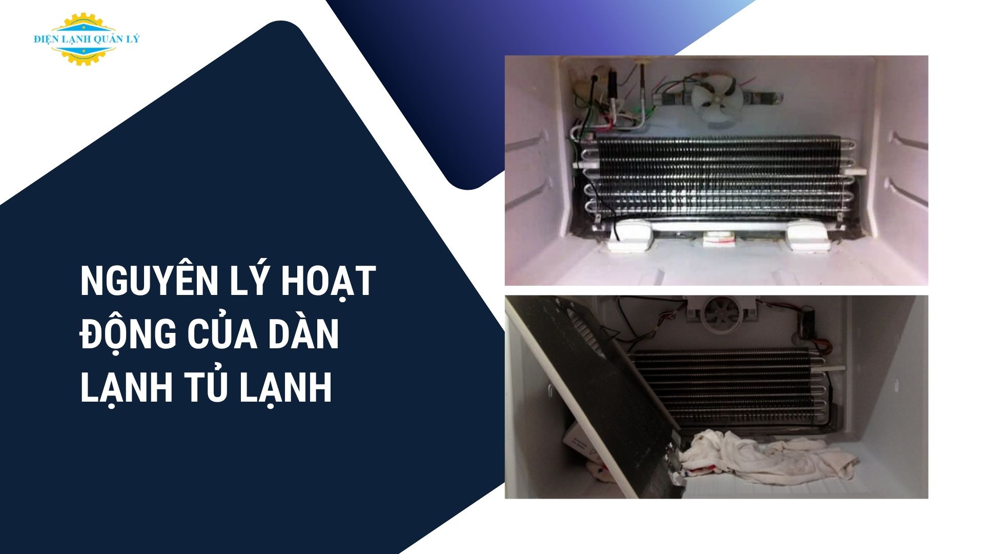 Nguyên lý hoạt động của dàn lạnh tủ lạnh
