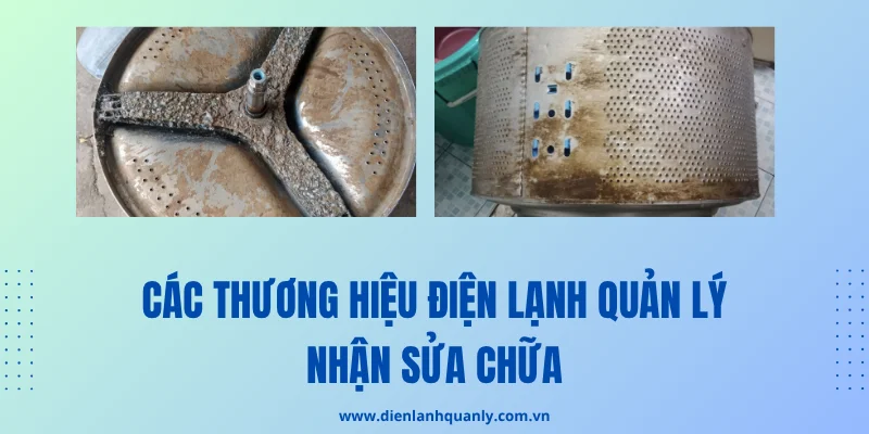 Các thương hiệu máy giặt Điện Lạnh Quản Lý nhận sửa chữa