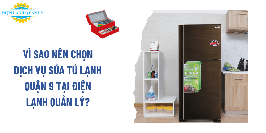 Vì sao nên lựa chọn dịch vụ sửa tủ lạnh Quận 9 tại Điện Lạnh Quản Lý?