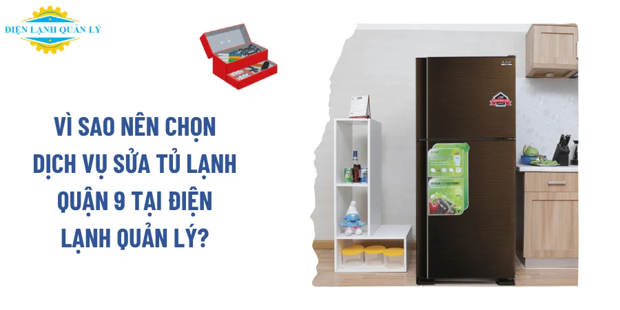 Vì sao nên lựa chọn dịch vụ sửa tủ lạnh Quận 9 tại Điện Lạnh Quản Lý?