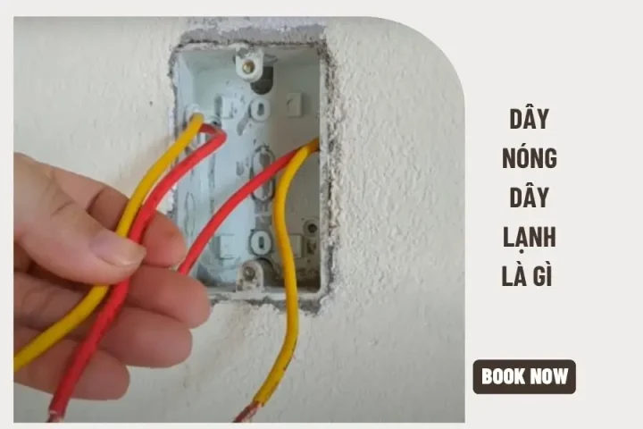 Dây nóng dây lạnh là gì