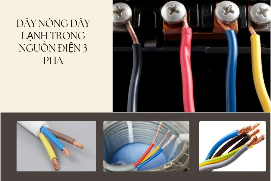Dây nóng dây lạnh của nguồn điện 3 pha