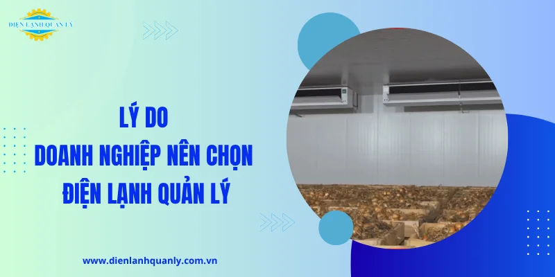 Lý do doanh nghiệp nên chọn Điện Lạnh Quản Lý Lý do doanh nghiệp nên chọn Điện Lạnh Quản Lý