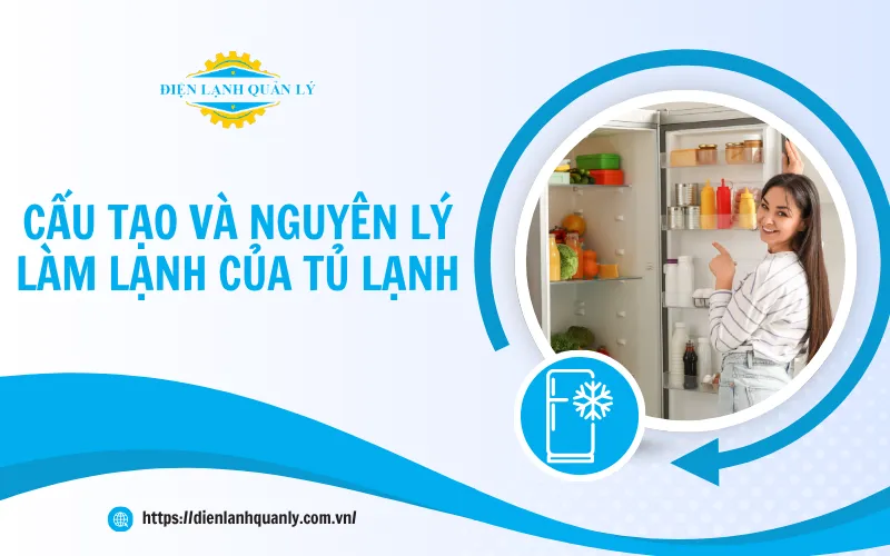 Cấu tạo và nguyên lý làm lạnh của tủ lạnh