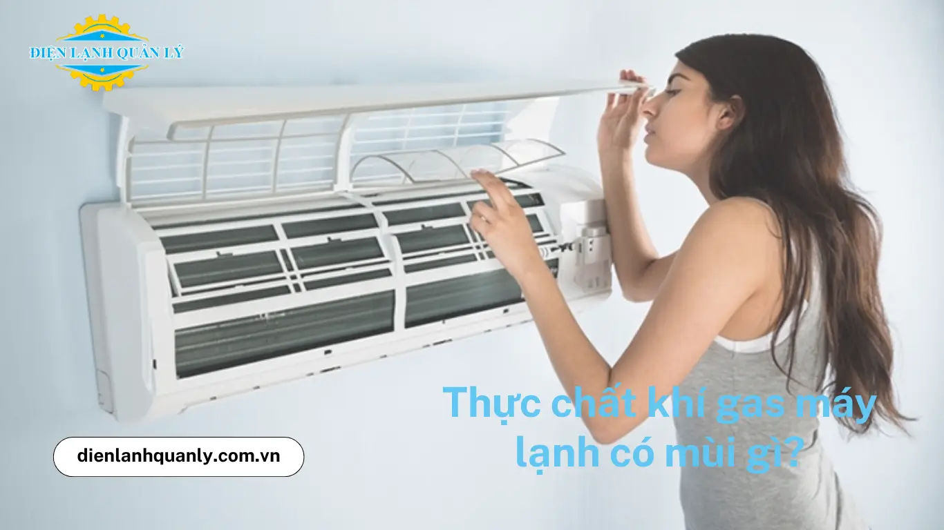 Thực chất khí gas máy lạnh có mùi gì? Thực chất khí gas máy lạnh có mùi gì?