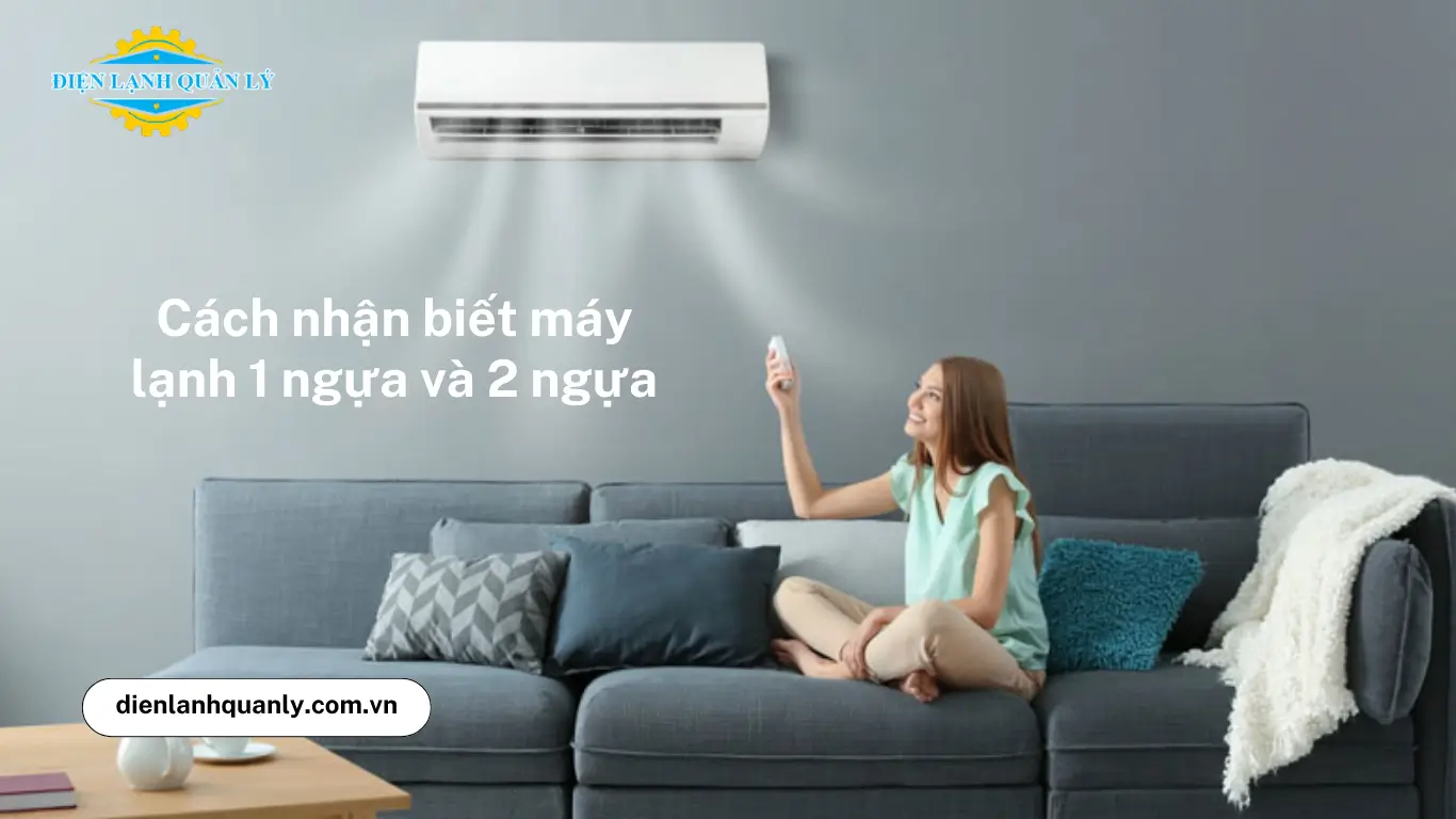 Cách nhận biết máy lạnh 1 ngựa và 2 ngựa