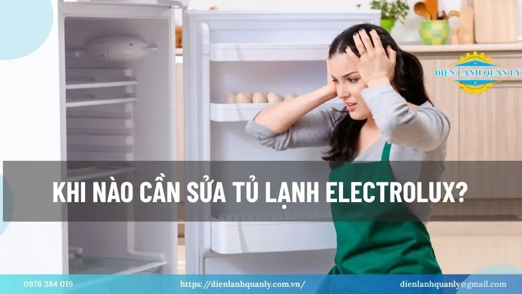 Khi nào cần sửa tủ lạnh Electrolux?