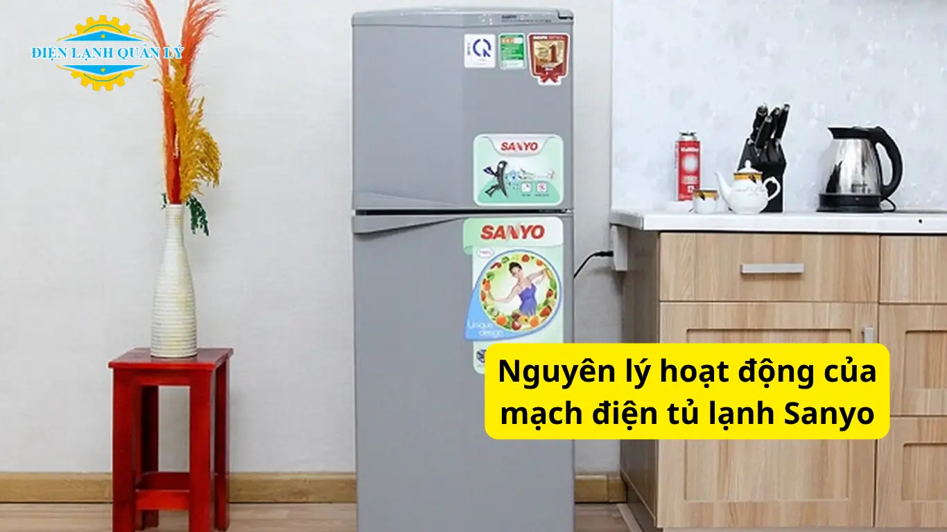 Nguyên lý hoạt động của mạch điện tủ lạnh Sanyo Nguyên lý hoạt động của mạch điện tủ lạnh Sanyo