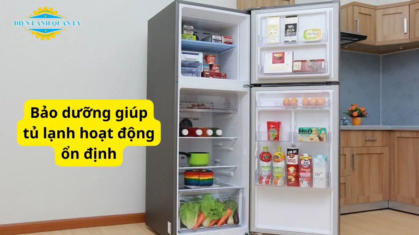 Bảo dưỡng giúp tủ lạnh hoạt động ổn định Bảo dưỡng giúp tủ lạnh hoạt động ổn định